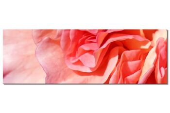 Collection murale 5 - Motif c : fleur de rose rouge - panorama sur 3:1 - nombreuses tailles et matériaux - motif d'art photographique exclusif sous forme de toile ou d'image en verre acrylique pour la décoration murale