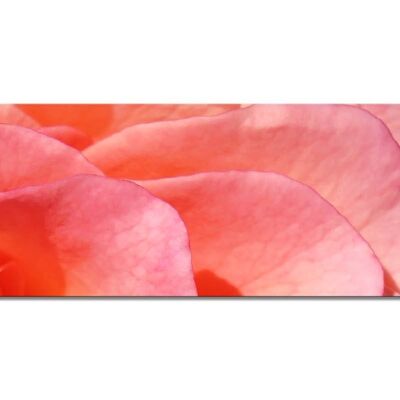 Mural Collection 5 - Motif e: Red Rose Blossom - Panorama landscape 3:1 - many sizes & materials - Exclusive photo art motif as a canvas or acrylic glass picture for wall decoration