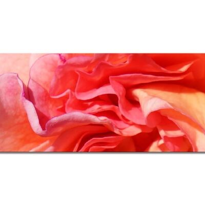 Mural Collection 5 - Motif g: Red Rose Blossom - Paysage panoramique 3:1 - nombreuses tailles et matériaux - Motif d'art photo exclusif sous forme de toile ou d'image en verre acrylique pour la décoration murale