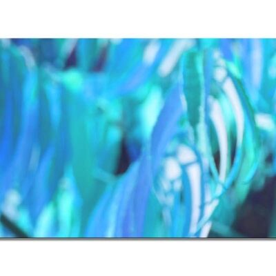 Collection murale 6 - motif c : feuillage bleu - format paysage 2:1 - nombreuses tailles et matériaux - motif d'art photo exclusif comme image sur toile ou image en verre acrylique pour la décoration murale