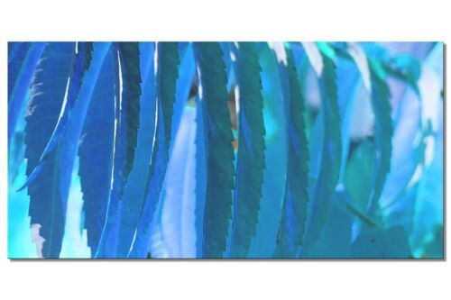 Wandbild Kollektion 6 – Motiv d: Blaues Blattwerk - Querformat 2:1 - viele Größen & Materialien – Exklusives Fotokunst-Motiv als Leinwandbild oder Acrylglasbild zur Wand-Dekoration