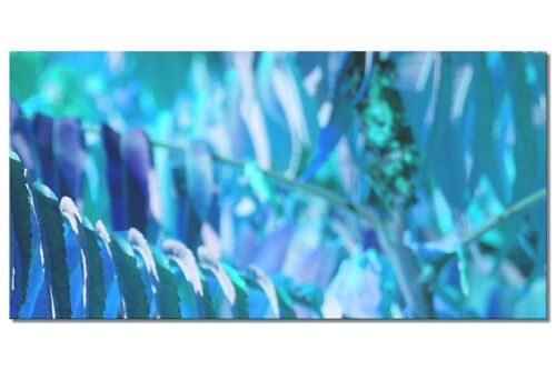 Wandbild Kollektion 6 – Motiv e: Blaues Blattwerk - Querformat 2:1 - viele Größen & Materialien – Exklusives Fotokunst-Motiv als Leinwandbild oder Acrylglasbild zur Wand-Dekoration