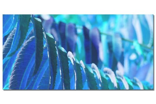 Wandbild Kollektion 6 – Motiv f: Blaues Blattwerk - Querformat 2:1 - viele Größen & Materialien – Exklusives Fotokunst-Motiv als Leinwandbild oder Acrylglasbild zur Wand-Dekoration