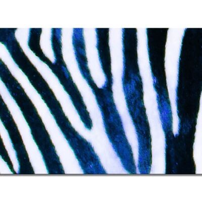 Colección de murales 7 - Motivo a: Zebra Love - formato apaisado 2:1 - muchos tamaños y materiales - motivo de arte fotográfico exclusivo como cuadro de lienzo o cuadro de vidrio acrílico para decoración de paredes