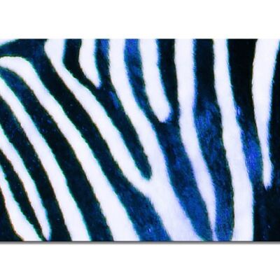 Wandbild Kollektion 7 – Motiv a: Zebra-Liebe - Querformat 2:1 - viele Größen & Materialien – Exklusives Fotokunst-Motiv als Leinwandbild oder Acrylglasbild zur Wand-Dekoration