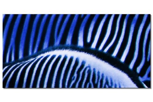 Wandbild Kollektion 7 – Motiv b: Zebra-Liebe - Querformat 2:1 - viele Größen & Materialien – Exklusives Fotokunst-Motiv als Leinwandbild oder Acrylglasbild zur Wand-Dekoration