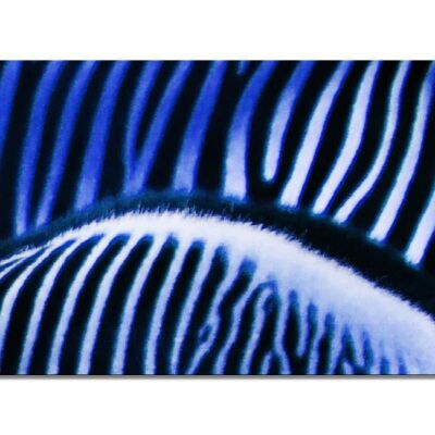 Mural Collection 7 - Motif b: Zebra Love - format paysage 2:1 - nombreuses tailles et matériaux - motif d'art photographique exclusif sous forme d'image sur toile ou d'image en verre acrylique pour la décoration murale