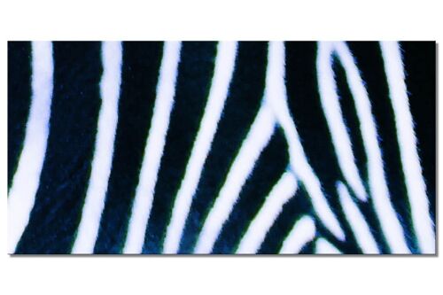 Wandbild Kollektion 7 – Motiv c: Zebra-Liebe - Querformat 2:1 - viele Größen & Materialien – Exklusives Fotokunst-Motiv als Leinwandbild oder Acrylglasbild zur Wand-Dekoration
