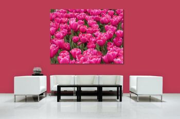 Papier peint : Sea of Tulips 8 - format paysage 4:3 - nombreuses tailles et matériaux - motif d'art photographique exclusif sous forme d'image sur toile ou d'image en verre acrylique pour la décoration murale 2