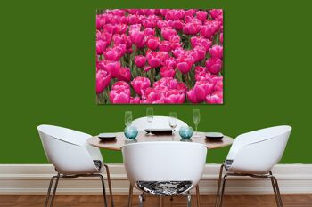 Papier peint : Sea of Tulips 8 - format paysage 4:3 - nombreuses tailles et matériaux - motif d'art photographique exclusif sous forme d'image sur toile ou d'image en verre acrylique pour la décoration murale 4