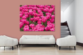 Papier peint : Sea of Tulips 8 - format paysage 4:3 - nombreuses tailles et matériaux - motif d'art photographique exclusif sous forme d'image sur toile ou d'image en verre acrylique pour la décoration murale 8