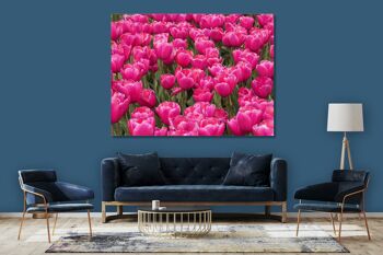 Papier peint : Sea of Tulips 8 - format paysage 4:3 - nombreuses tailles et matériaux - motif d'art photographique exclusif sous forme d'image sur toile ou d'image en verre acrylique pour la décoration murale 12
