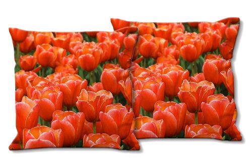 Deko-Foto-Kissen Set (2 Stk.), Motiv: Tulpenmeer 9 - Größe: 40 x 40 cm - Premium Kissenhülle, Zierkissen, Dekokissen, Fotokissen, Kissenbezug