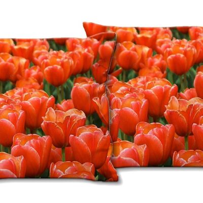 Deko-Foto-Kissen Set (2 Stk.), Motiv: Tulpenmeer 9 - Größe: 40 x 40 cm - Premium Kissenhülle, Zierkissen, Dekokissen, Fotokissen, Kissenbezug