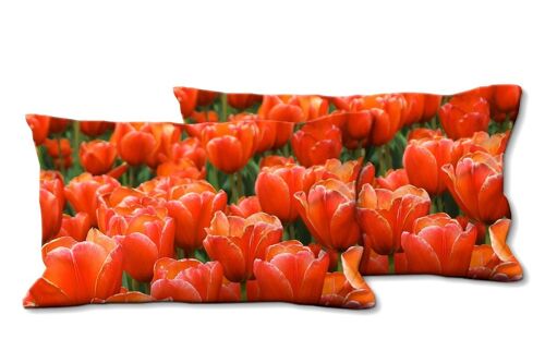 Deko-Foto-Kissen Set (2 Stk.), Motiv: Tulpenmeer 9 - Größe: 80 x 40 cm - Premium Kissenhülle, Zierkissen, Dekokissen, Fotokissen, Kissenbezug