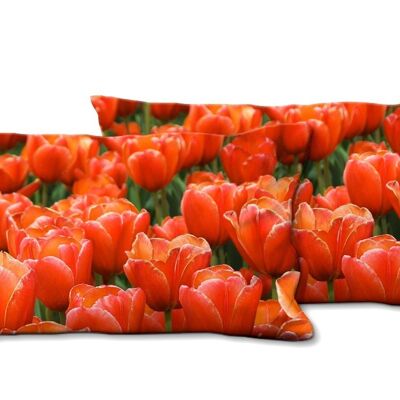 Set di cuscini decorativi con foto (2 pezzi), motivo: Tulip Sea 9 - dimensioni: 80 x 40 cm - fodera per cuscino premium, cuscino decorativo, cuscino decorativo, cuscino fotografico, fodera per cuscino