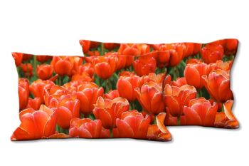 Ensemble de coussins photo décoratifs (2 pièces), motif : Tulip Sea 9 - taille : 80 x 40 cm - housse de coussin premium, coussin décoratif, coussin décoratif, coussin photo, housse de coussin 1