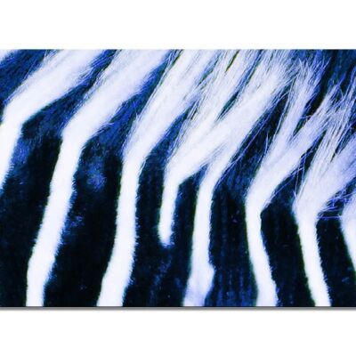 Mural Collection 7 - Motif d: Zebra Love - landscape format 2:1 - many sizes & materials - exclusive photo art motif as a canvas picture or acrylic glass picture for wall decoration