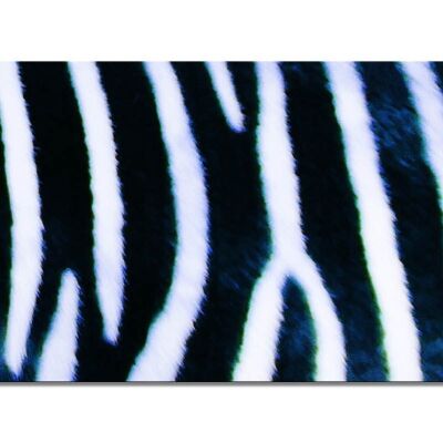 Wandbild Kollektion 7 – Motiv f: Zebra-Liebe - Querformat 2:1 - viele Größen & Materialien – Exklusives Fotokunst-Motiv als Leinwandbild oder Acrylglasbild zur Wand-Dekoration