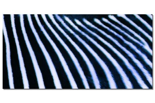 Wandbild Kollektion 7 – Motiv g: Zebra-Liebe - Querformat 2:1 - viele Größen & Materialien – Exklusives Fotokunst-Motiv als Leinwandbild oder Acrylglasbild zur Wand-Dekoration