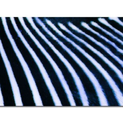 Mural Collection 7 - Motif g: Zebra Love - landscape format 2:1 - many sizes & materials - exclusive photo art motif as a canvas picture or acrylic glass picture for wall decoration