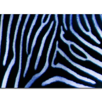 Mural Collection 7 - Motif e: Zebra Love - landscape format 2:1 - many sizes & materials - exclusive photo art motif as a canvas picture or acrylic glass picture for wall decoration