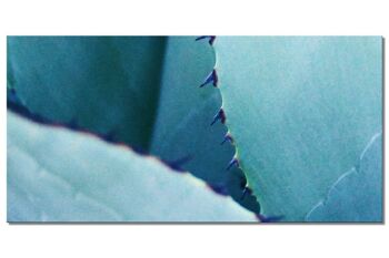 Mural Collection 9 - Motif a: Cactus World - format paysage 2:1 - nombreuses tailles et matériaux - motif d'art photographique exclusif sous forme d'image sur toile ou d'image en verre acrylique pour la décoration murale
