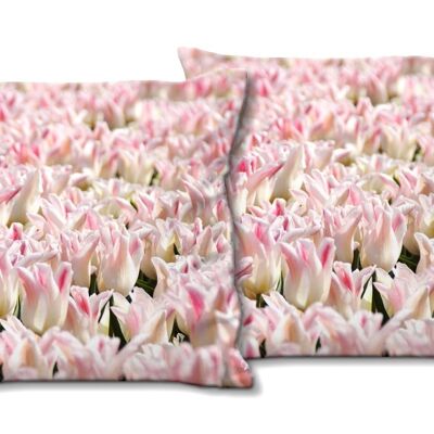 Deko-Foto-Kissen Set (2 Stk.), Motiv: Tulpenmeer 10 - Größe: 40 x 40 cm - Premium Kissenhülle, Zierkissen, Dekokissen, Fotokissen, Kissenbezug