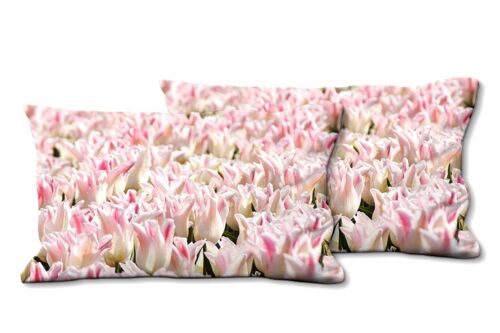 Deko-Foto-Kissen Set (2 Stk.), Motiv: Tulpenmeer 10 - Größe: 80 x 40 cm - Premium Kissenhülle, Zierkissen, Dekokissen, Fotokissen, Kissenbezug