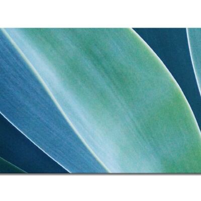 Mural Collection 10 - Motif d: Organic forms - landscape format 2:1 - many sizes & materials - exclusive photo art motif as a canvas picture or acrylic glass picture for wall decoration