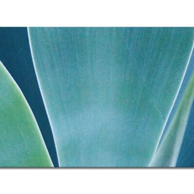 Mural Collection 10 - Motif e: Organic forms - landscape format 2:1 - many sizes & materials - exclusive photo art motif as a canvas picture or acrylic glass picture for wall decoration