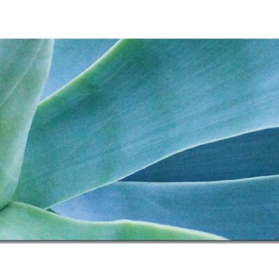 Mural Collection 10 - Motif i: Organic forms - landscape format 2:1 - many sizes & materials - exclusive photo art motif as a canvas picture or acrylic glass picture for wall decoration