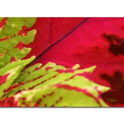 Mural Collection 11 - Motivo b: Pink Nature Foliage - formato orizzontale 2:1 - molte dimensioni e materiali - esclusivo motivo artistico fotografico come immagine su tela o immagine su vetro acrilico per la decorazione murale