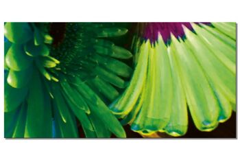 Collection de peintures murales 12 - Motif c : Flower Power Pop Art - format paysage 2:1 - nombreuses tailles et matériaux - motif d'art photo exclusif sous forme d'image sur toile ou d'image en verre acrylique pour la décoration murale