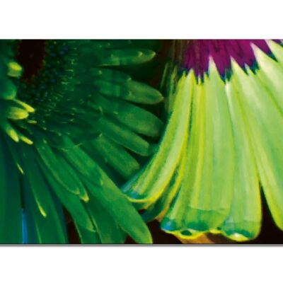 Collection de peintures murales 12 - Motif c : Flower Power Pop Art - format paysage 2:1 - nombreuses tailles et matériaux - motif d'art photo exclusif sous forme d'image sur toile ou d'image en verre acrylique pour la décoration murale