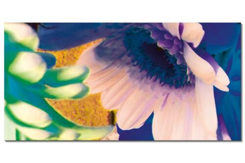 Wandbild Kollektion 12 – Motiv d: Flower Power Pop-Art - Querformat 2:1 - viele Größen & Materialien – Exklusives Fotokunst-Motiv als Leinwandbild oder Acrylglasbild zur Wand-Dekoration