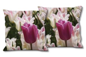 Ensemble de coussins photo décoratifs (2 pièces), motif : Tulip Sea 12 - taille : 40 x 40 cm - housse de coussin premium, coussin décoratif, coussin décoratif, coussin photo, housse de coussin 1