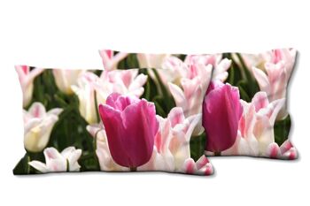 Ensemble de coussins photo décoratifs (2 pièces), motif : Tulip Sea 12 - taille : 80 x 40 cm - housse de coussin premium, coussin décoratif, coussin décoratif, coussin photo, housse de coussin 1