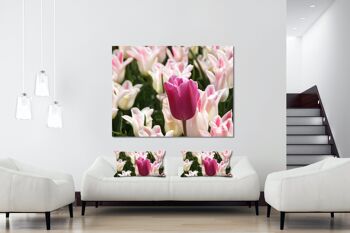 Ensemble de coussins photo décoratifs (2 pièces), motif : Tulip Sea 12 - taille : 80 x 40 cm - housse de coussin premium, coussin décoratif, coussin décoratif, coussin photo, housse de coussin 5