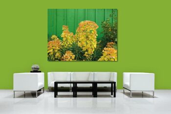 Papier peint : Blossom 3 - format paysage 4:3 - nombreuses tailles et matériaux - motif d'art photographique exclusif sous forme d'image sur toile ou d'image en verre acrylique pour la décoration murale 2