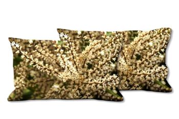 Ensemble de coussins photo décoratifs (2 pièces), motif : arbuste blanc - taille : 80 x 40 cm - housse de coussin premium, coussin décoratif, coussin déco, coussin photo, housse de coussin 1