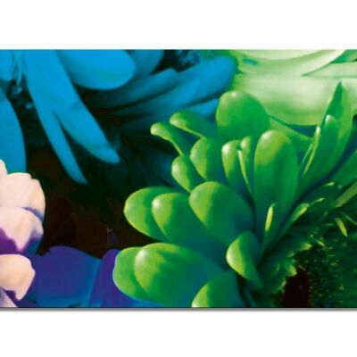Mural Collection 12 - Motif e: Flower Power Pop Art - formato orizzontale 2:1 - molte dimensioni e materiali - esclusivo motivo artistico fotografico come immagine su tela o immagine su vetro acrilico per la decorazione murale