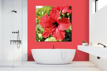 Papier peint : hibiscus, rouge vif - carré 1:1 - nombreuses tailles et matériaux - motif d'art photographique exclusif sous forme de toile ou d'image en verre acrylique pour la décoration murale 2