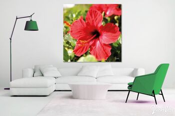 Papier peint : hibiscus, rouge vif - carré 1:1 - nombreuses tailles et matériaux - motif d'art photographique exclusif sous forme de toile ou d'image en verre acrylique pour la décoration murale 4