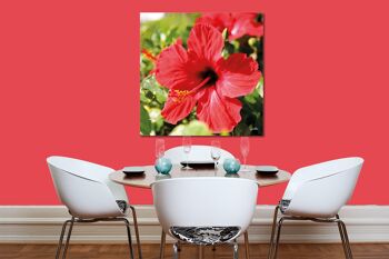 Papier peint : hibiscus, rouge vif - carré 1:1 - nombreuses tailles et matériaux - motif d'art photographique exclusif sous forme de toile ou d'image en verre acrylique pour la décoration murale 7