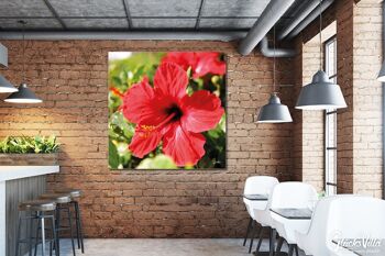 Papier peint : hibiscus, rouge vif - carré 1:1 - nombreuses tailles et matériaux - motif d'art photographique exclusif sous forme de toile ou d'image en verre acrylique pour la décoration murale 8
