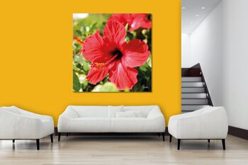 Papier peint : hibiscus, rouge vif - carré 1:1 - nombreuses tailles et matériaux - motif d'art photographique exclusif sous forme de toile ou d'image en verre acrylique pour la décoration murale 9