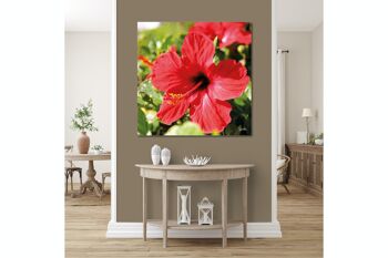 Papier peint : hibiscus, rouge vif - carré 1:1 - nombreuses tailles et matériaux - motif d'art photographique exclusif sous forme de toile ou d'image en verre acrylique pour la décoration murale 10