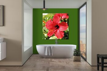 Papier peint : hibiscus, rouge vif - carré 1:1 - nombreuses tailles et matériaux - motif d'art photographique exclusif sous forme de toile ou d'image en verre acrylique pour la décoration murale 11