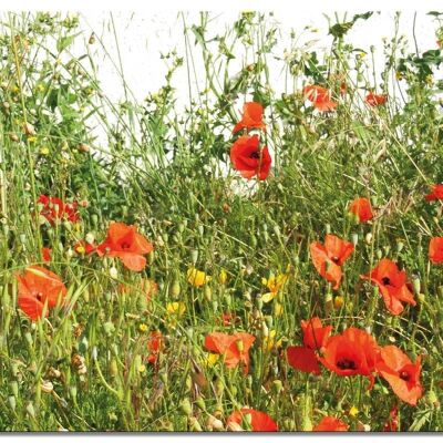 Mural: Corn poppy meadow - landscape format 4:3 - many sizes & materials - exclusive photo art motif as a canvas picture or acrylic glass picture for wall decoration